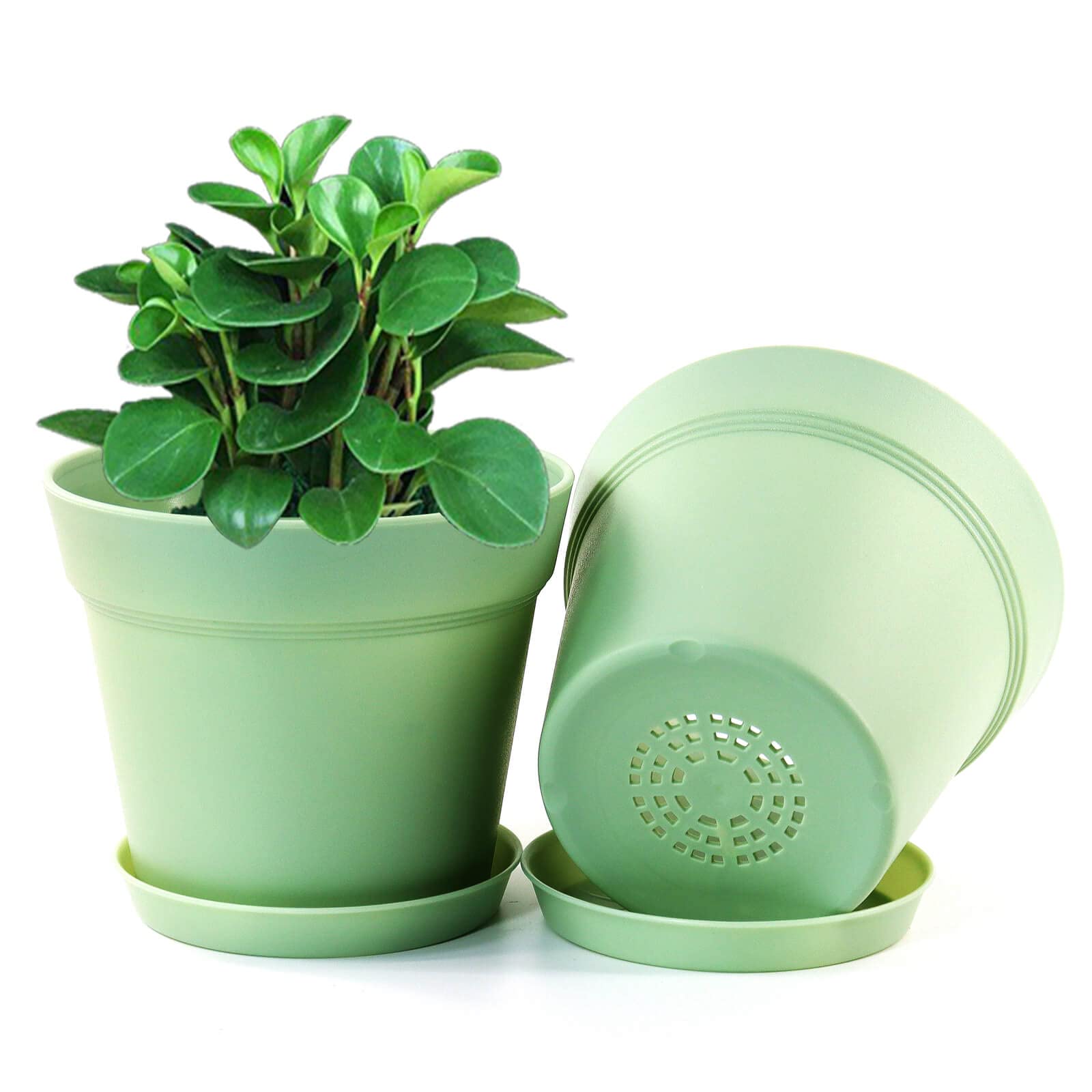 WOUSIWER plato colector en uso, recoge exceso de agua y mantiene superficies secas