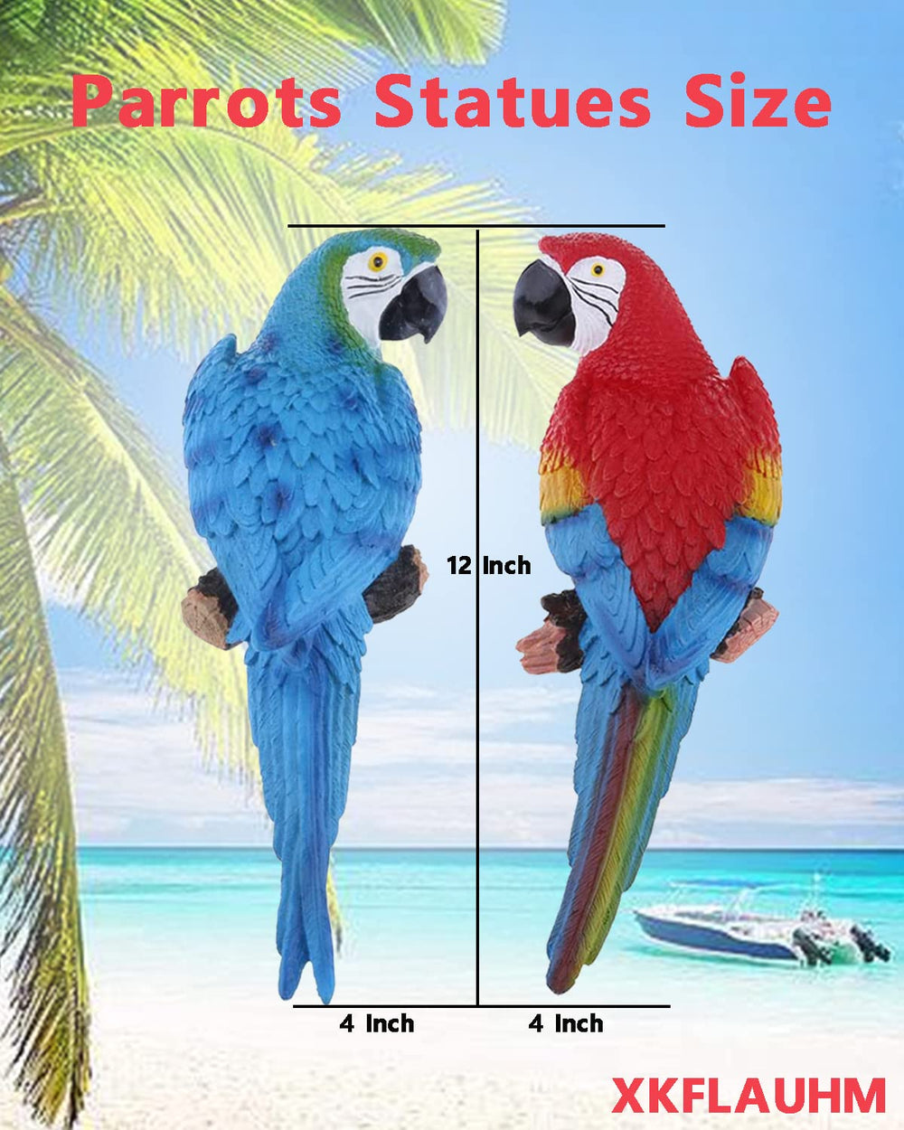 XKFLAUHM loro junto a mano para comparar tamaño y escala práctica
