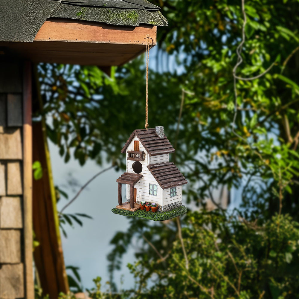 Yinns detalle del orificio de entrada protegiendo aves pequeñas y depredadores