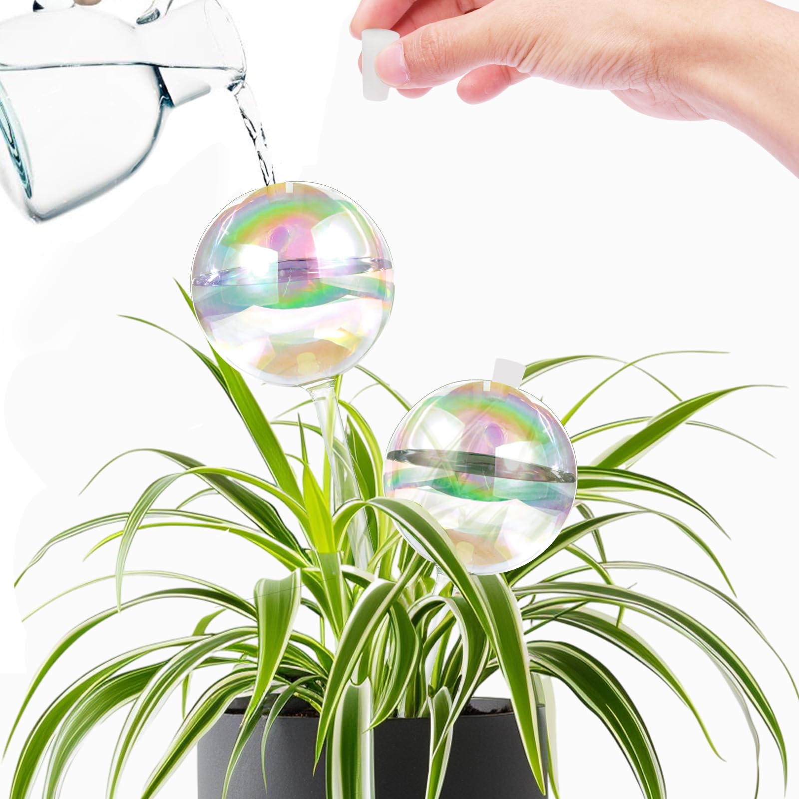 ZephyrBloom empaque doble listo para viajeros y cuidadores de plantas ocupados