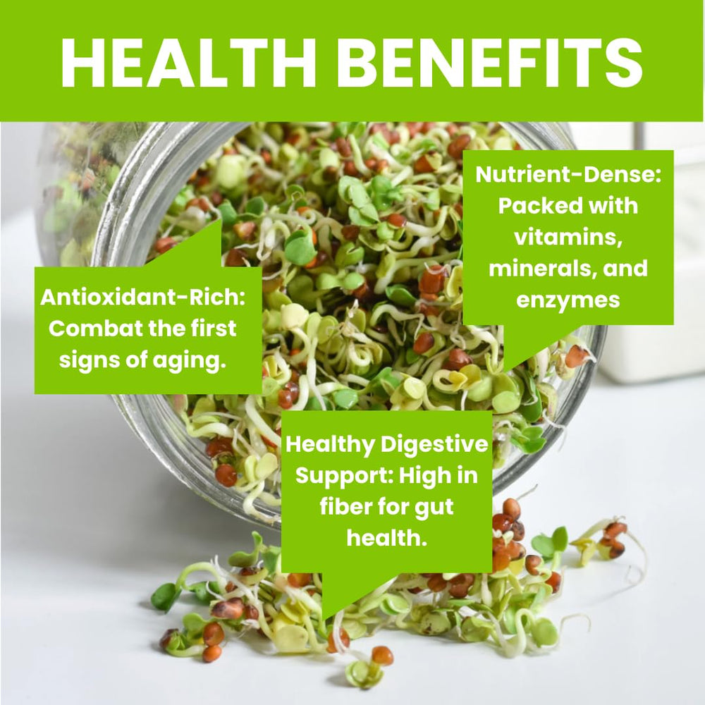 ZESTIGREENS brotes en ensalada, frescura y sabor añadidos