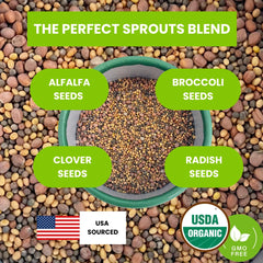 ZESTIGREENS brotes en frasco, cultivo doméstico rápido y limpio