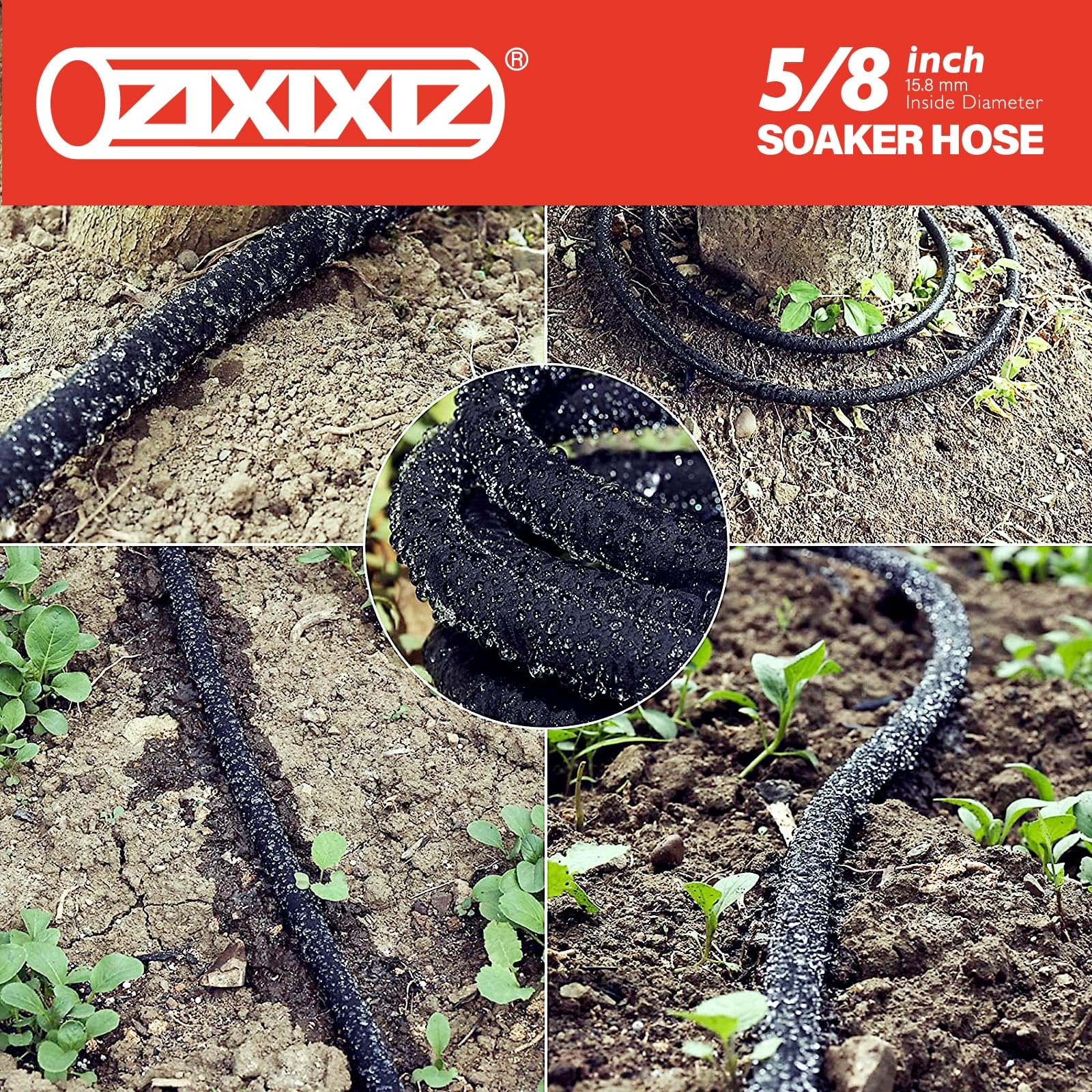 Zixixiz rollo junto a una regla para escala, beneficio: comprobación de longitud real